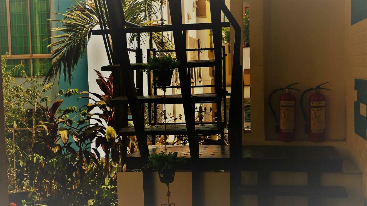 P.I.P Houses مدينة هوشي منه المظهر الخارجي الصورة